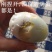 白洋淀原味青皮咸鸭蛋荷叶蛋流油熟咸蛋麻鸭蛋20枚礼盒