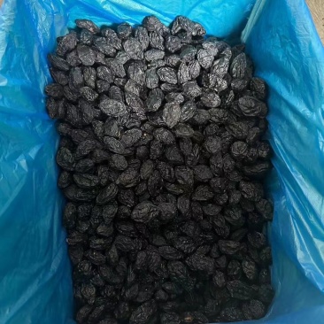 进口西梅干精品！原产地发货直销