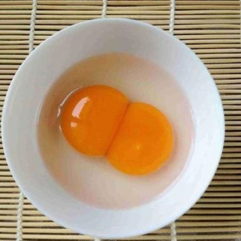 农家散养大个新鲜双黄鸭蛋土鸭蛋生鸭蛋笨鸭蛋生鲜鸭蛋麻鸭蛋