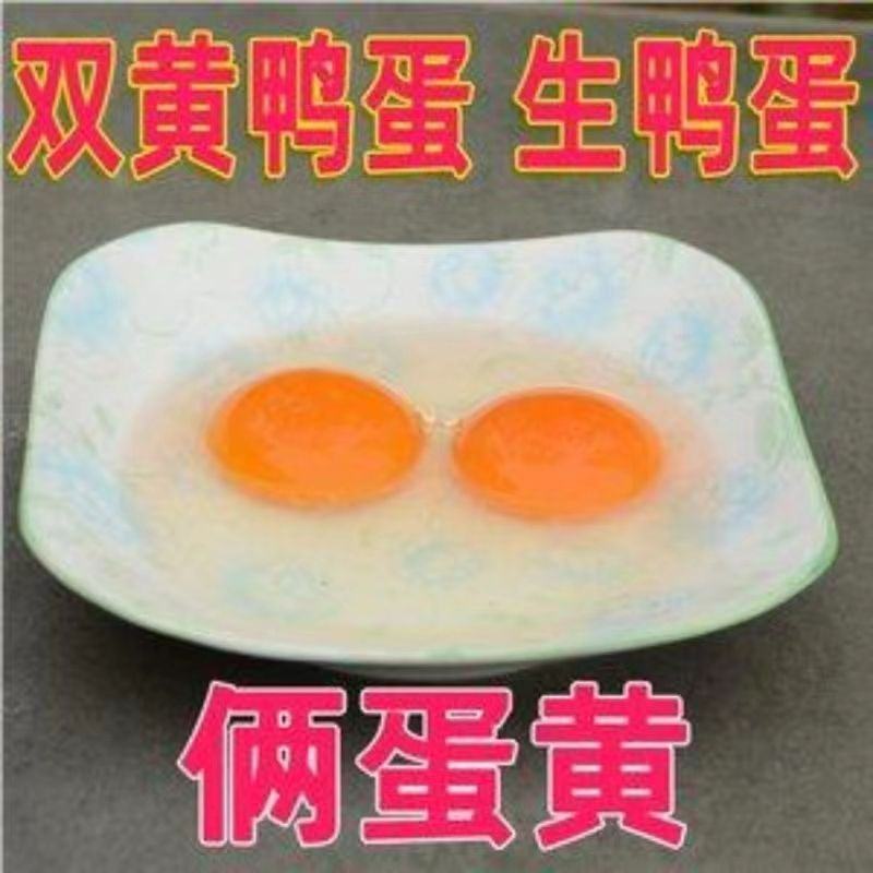 农家散养大个新鲜双黄鸭蛋土鸭蛋生鸭蛋笨鸭蛋生鲜鸭蛋麻鸭蛋