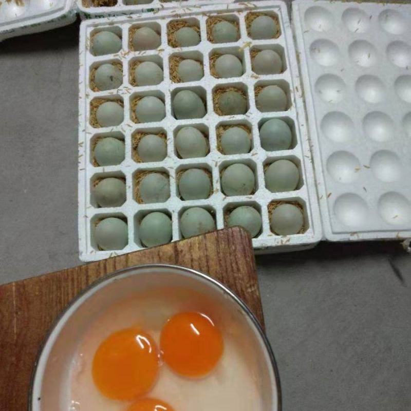 【超低价】新鲜鸭蛋土鸭蛋生鸭蛋新鲜现发绿壳鸭蛋新鲜农村散