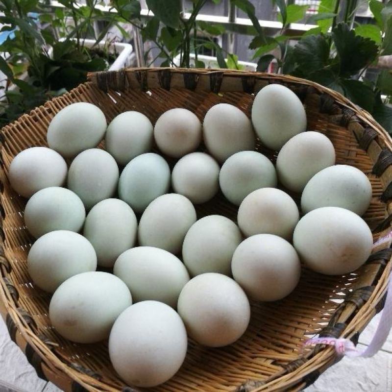 【超低价】新鲜鸭蛋土鸭蛋生鸭蛋新鲜现发绿壳鸭蛋新鲜农村散