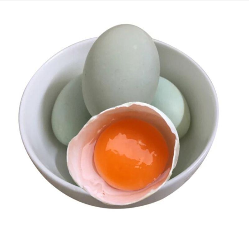 【超低价】新鲜鸭蛋土鸭蛋生鸭蛋新鲜现发绿壳鸭蛋新鲜农村散