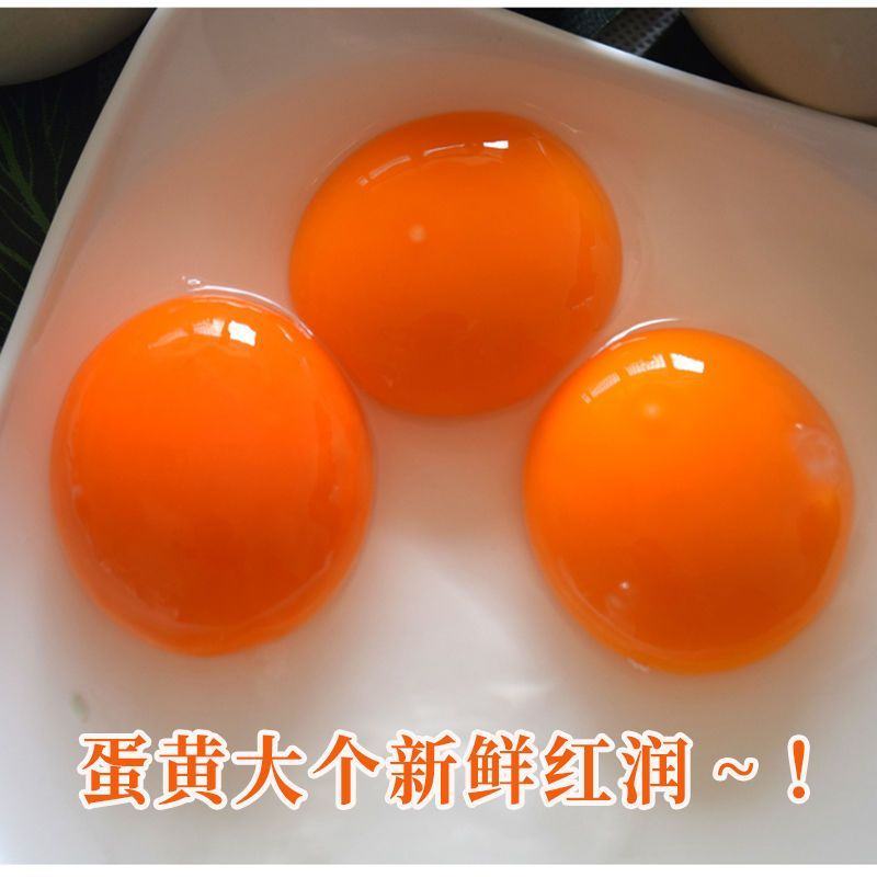 【超低价】新鲜鸭蛋土鸭蛋生鸭蛋新鲜现发绿壳鸭蛋新鲜农村散