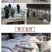 冬牧70黑麦草种子冬牧草子多次收割耐寒牧草猪牛羊鸡鸭鹅鱼