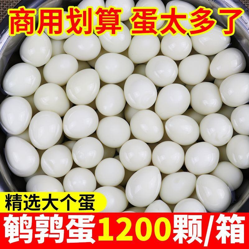 清水去壳鹌鹑蛋新鲜去皮白水蛋商用家用火锅麻辣烫串串食材批
