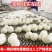 清水鹌鹑蛋串串火锅麻辣烫食材去壳去皮鹌鹑蛋商用600颗整