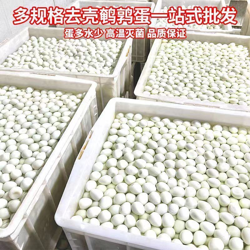 清水鹌鹑蛋串串火锅麻辣烫食材去壳去皮鹌鹑蛋商用600颗整