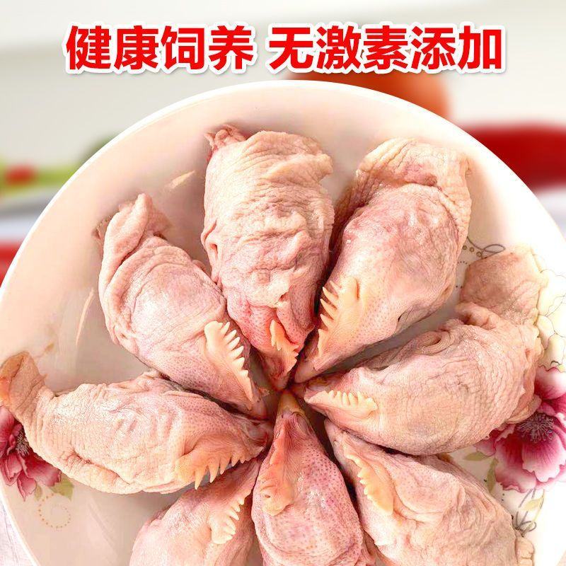 5斤装新鲜冷冻大鸡头生鸡头新鲜速冻鸡头鸡副分割品烧烤