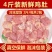 太合冷冻新鲜鸡腺胃鸡小肚生鲜鸡肚子盐焗卤水鸡杂鸡嗉子食品