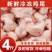 鸡屁股4斤现货速发冷冻鸡尾生鲜冷冻鸡尾巴鸡尖鸡凤尾串