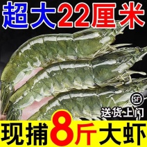 【盒装】青岛大虾国产整箱冰鲜大虾鲜冻虾鲜活新鲜大虾白对虾