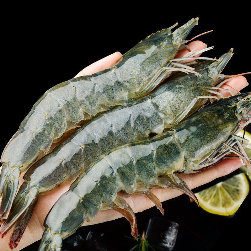 【盒装】青岛大虾国产整箱冰鲜大虾鲜冻虾鲜活新鲜大虾白对虾