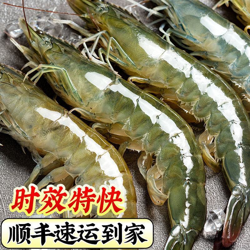 【盒装】青岛大虾国产整箱冰鲜大虾鲜冻虾鲜活新鲜大虾白对虾