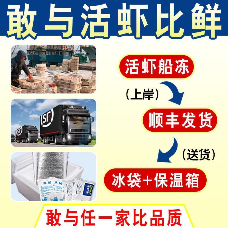 【盒装】青岛大虾国产整箱冰鲜大虾鲜冻虾鲜活新鲜大虾白对虾