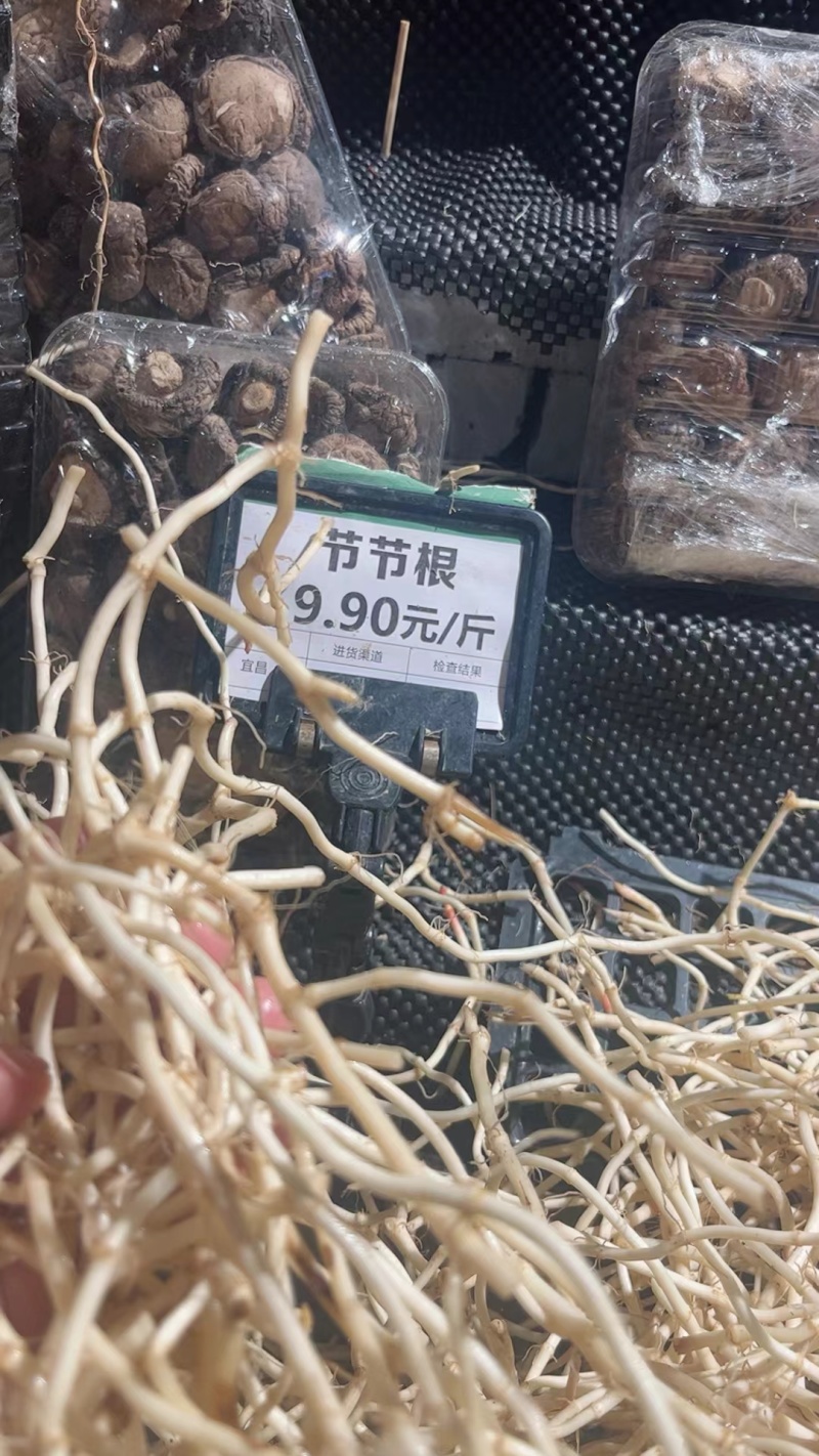 折耳根鱼腥草原产地鱼腥草之乡一手货源口感纯正对接各大市场