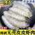 皮皮虾肉爬虾肉虾蛄肉琵琶虾饺子馅虾爬子肉虾海鲜熟冻真空半
