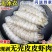 皮皮虾肉爬虾肉虾蛄肉琵琶虾饺子馅虾爬子肉虾海鲜熟冻真空半