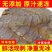 皮皮虾肉爬虾肉虾蛄肉琵琶虾饺子馅虾爬子肉虾海鲜熟冻真空半