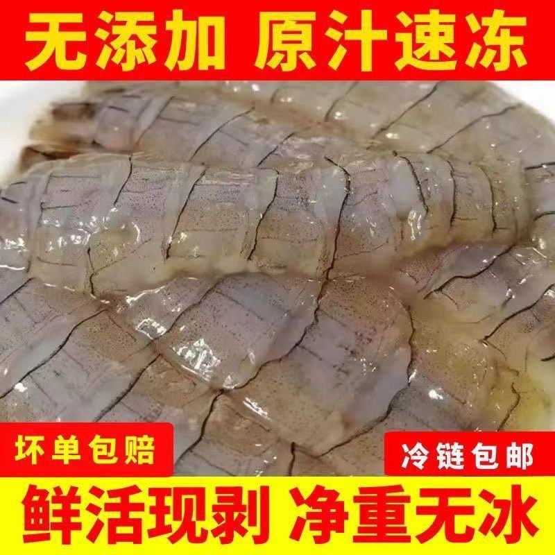 皮皮虾肉爬虾肉虾蛄肉琵琶虾饺子馅虾爬子肉虾海鲜熟冻真空半
