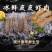 皮皮虾肉爬虾肉虾蛄肉琵琶虾饺子馅虾爬子肉虾海鲜熟冻真空半