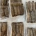 【手工剥肉】新鲜皮皮虾虾姑肉虾婆肉鲜活冷冻琵琶虾虾爬肉饺