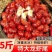 【包邮】无冰龙虾尾新鲜冷冻小龙虾大号虾球虾尾饭店家用