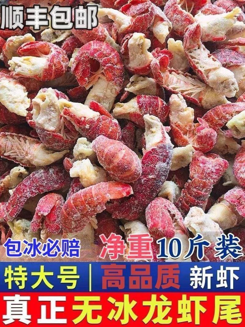 【包邮】无冰龙虾尾新鲜冷冻小龙虾大号虾球虾尾饭店家用