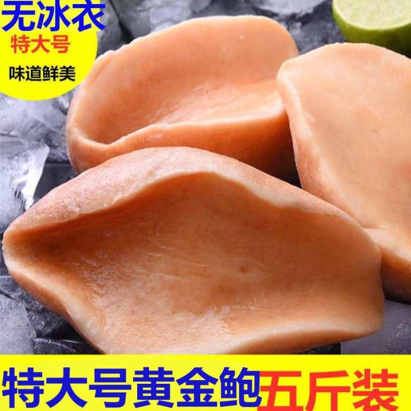 新鲜黄金鲍鱼澳鲍新鲜海鲜冷冻黄金大鲍鱼大澳鲍螺肉