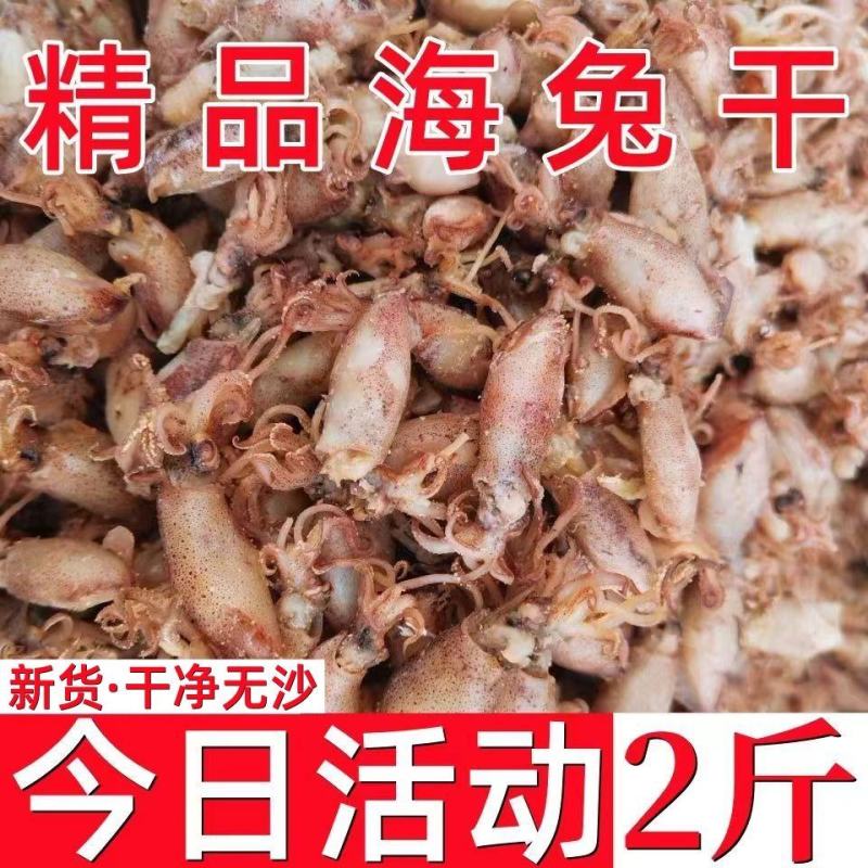 新货精品海兔干批发东海干海兔子批发干净无沙小海兔海产