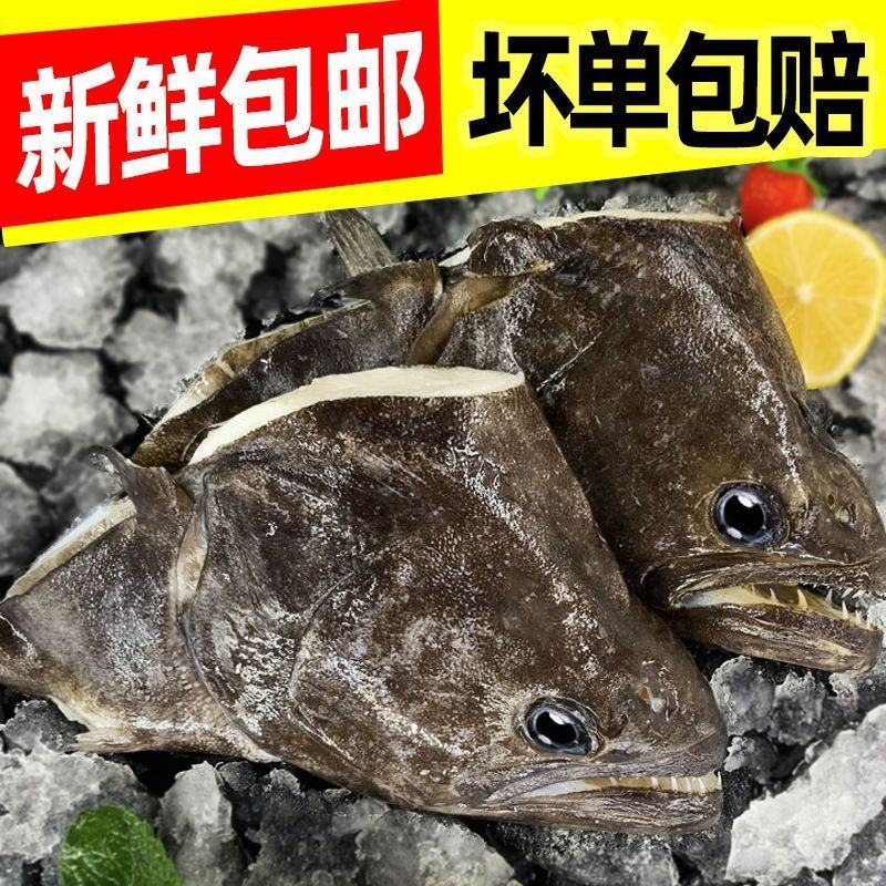 鲽鱼头新鲜特大碟鱼头比目鱼鸦片鱼头冷冻偏口鱼深海超大鱼头