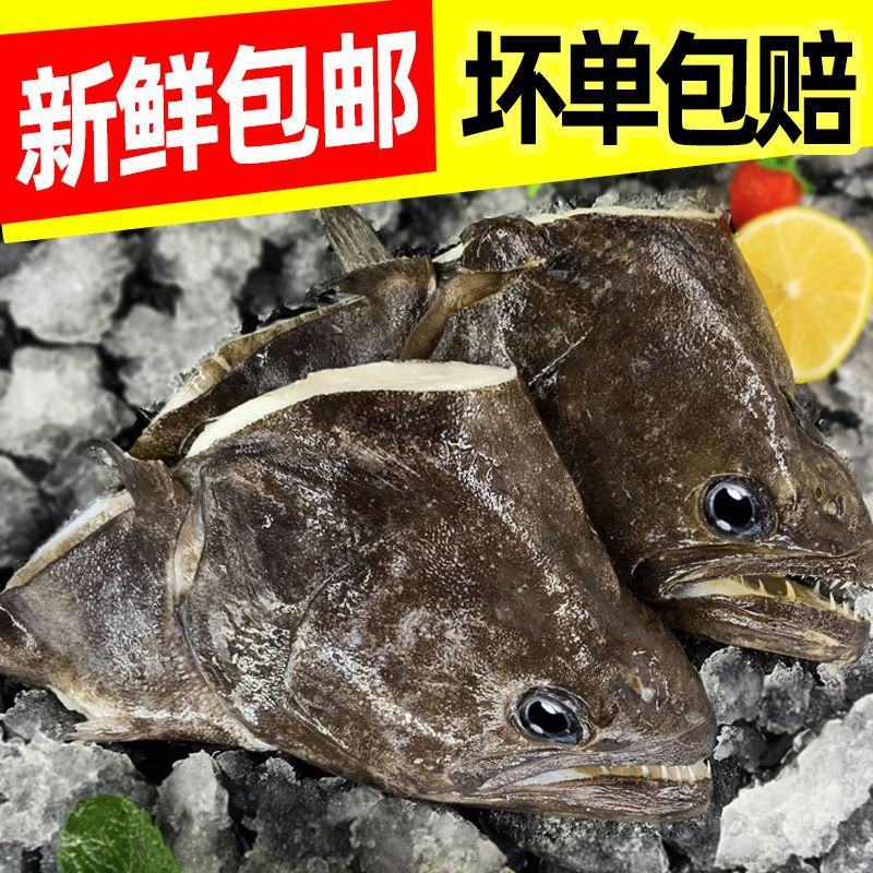 鲽鱼头新鲜特大碟鱼头比目鱼鸦片鱼头冷冻偏口鱼深海超大鱼头