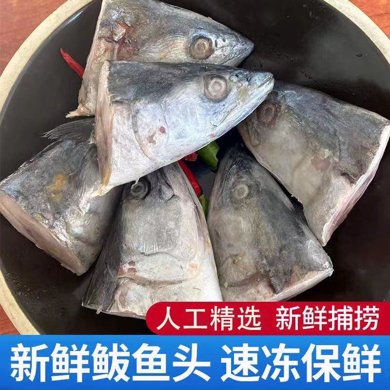 新鲜鲅鱼头马鲛鱼块鲅鱼水饺馅海鱼海产批发新鲜鲅鱼头马鲛鱼