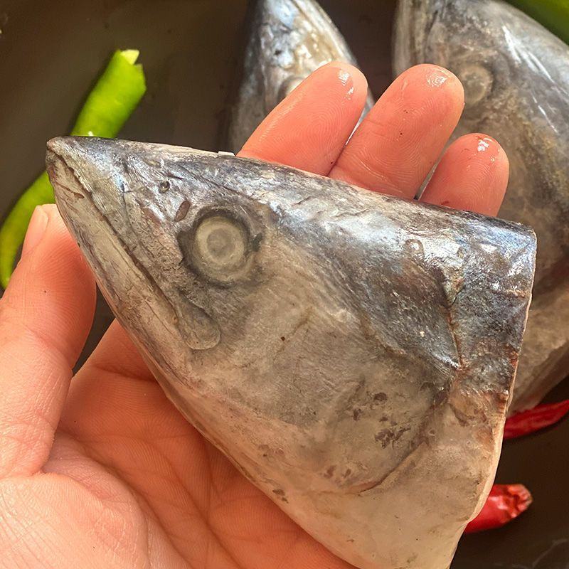 新鲜鲅鱼头马鲛鱼块鲅鱼水饺馅海鱼海产批发新鲜鲅鱼头马鲛鱼
