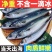 鲐鱼青占鱼新鲜青花鱼顺丰包邮小鲅鱼冷冻日料半斤/条