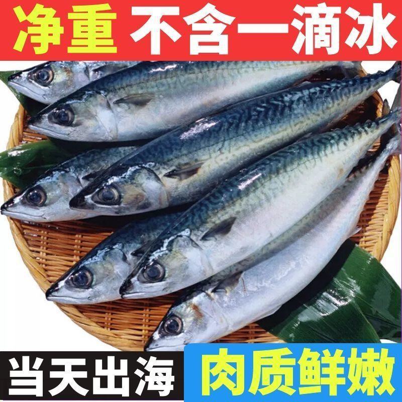 鲐鱼青占鱼新鲜青花鱼顺丰包邮小鲅鱼冷冻日料半斤/条