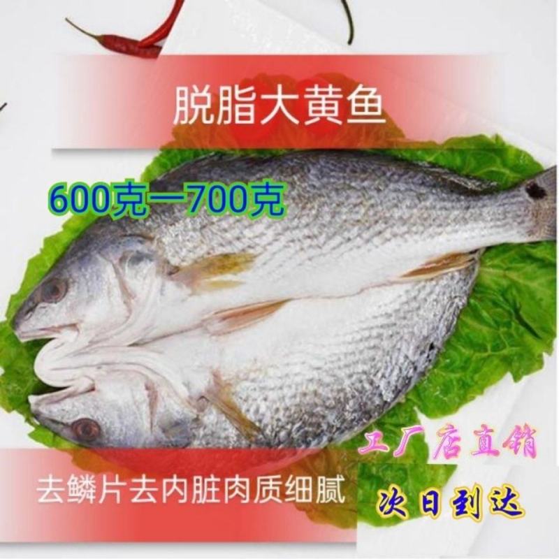 拉菲大黄鱼新鲜黄花鱼腌制冷冻黄鱼速冻海鲜免杀黄鱼鲞特