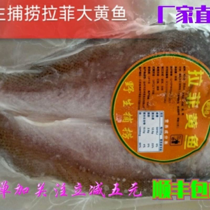 拉菲大黄鱼新鲜黄花鱼腌制冷冻黄鱼速冻海鲜免杀黄鱼鲞特