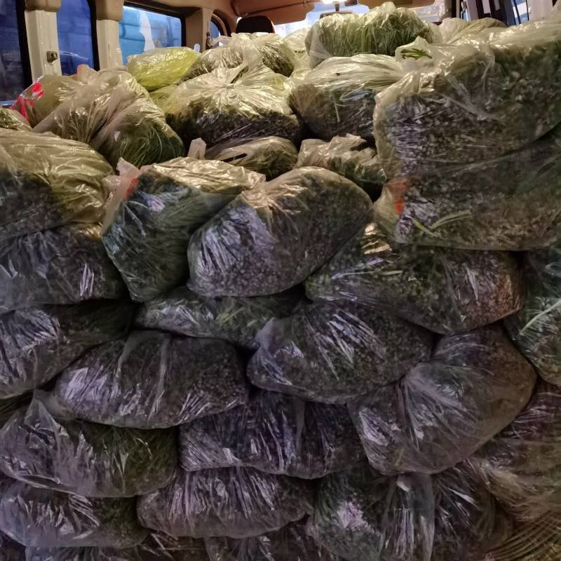 大量芦蒿保质保量
