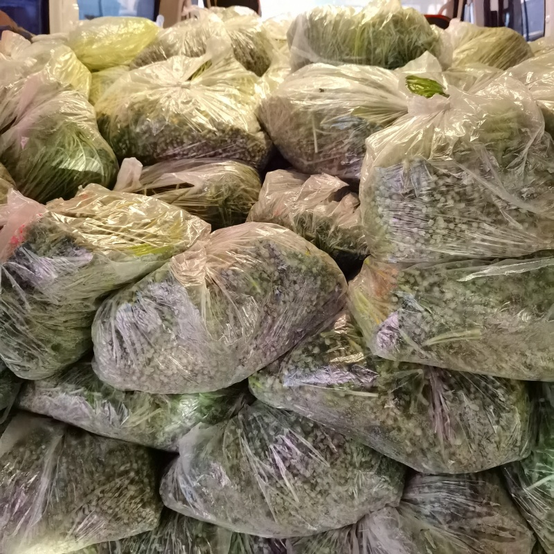 大量芦蒿保质保量