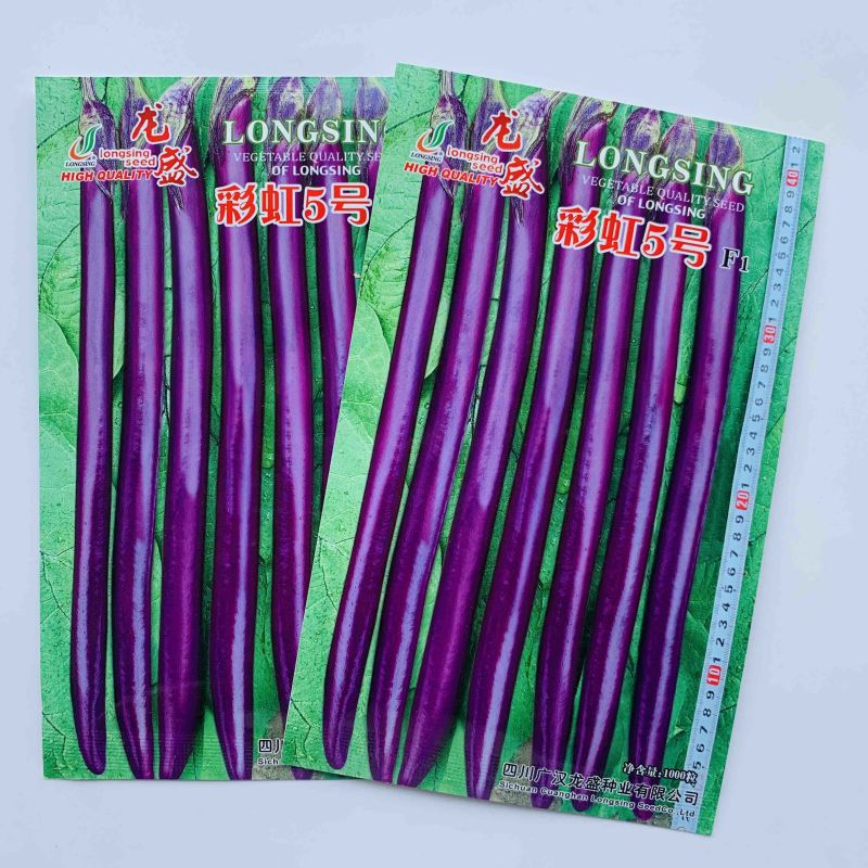 龙盛彩虹5号紫红线长茄子种子油亮高产特长杭茄1号