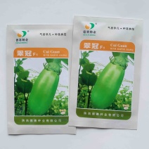 翠冠绿罐茄子种子粗青茄子种子