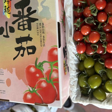 山东寿光五彩小番茄拼装电商团购商超批发市场