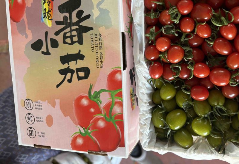 山东寿光五彩小番茄拼装电商团购商超批发市场