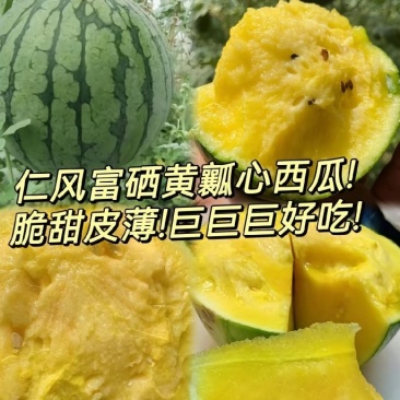 富硒黄壤薄皮脆瓤西瓜