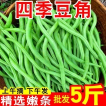 【应季】四季豆无筋豆新鲜现摘蔬菜豆角刀豆青豆芸豆扁豆批发