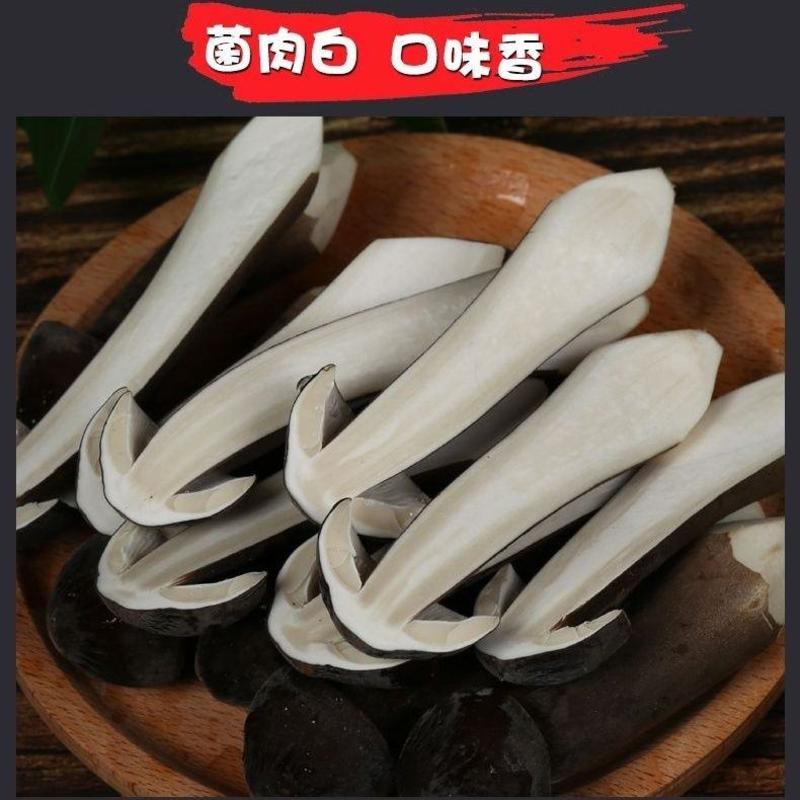 黑皮鸡枞菌新鲜食用农家散装当季云南特产火锅煲汤鸡