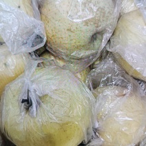 黄元帅