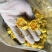 金花、金茶花防城港基地一手货源直供稳定供货