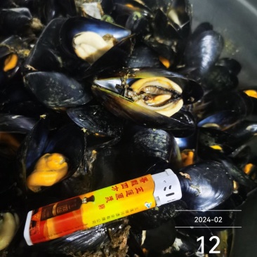 大家好，贻贝海虹开始出货了，一手货源，货源充足。支持市场